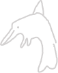Drawing dolphin